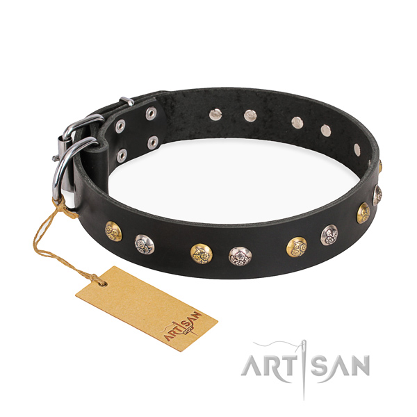 Daily leather collar for your handsome pet