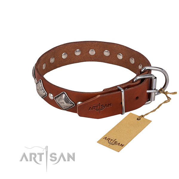 Tough leather dog collar with riveted details
