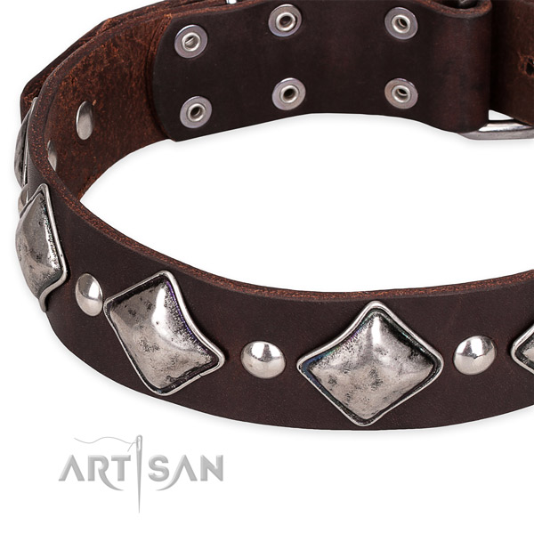 Easy to put on/off leather dog collar with extra sturdy chrome plated buckle