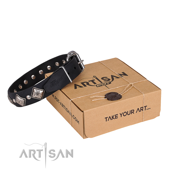 Daily leather dog collar with unique design studs