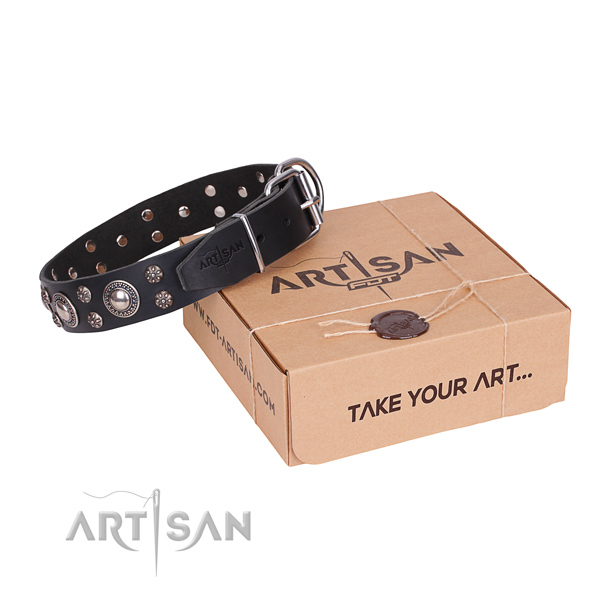 Casual leather dog collar with remarkable adornments