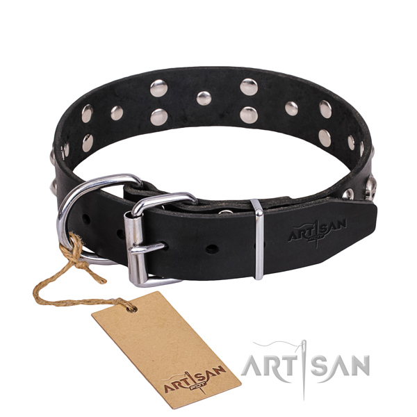 Resistant leather dog collar with riveted details