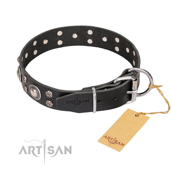 Full grain natural leather dog collar with thoroughly polished leather surface