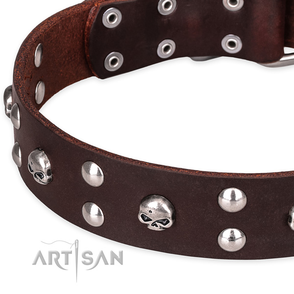 Day-to-day leather dog collar with fancy embellishments