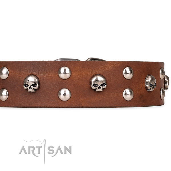 Natural leather dog collar with thoroughly polished surface