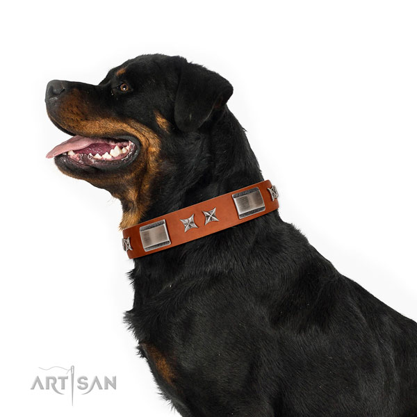 Walking soft full grain genuine leather dog collar with adornments