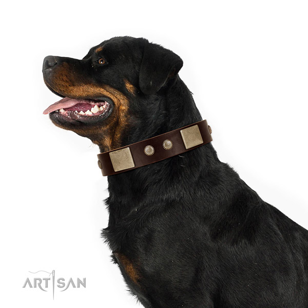 Rust-proof hardware on leather dog collar for handy use