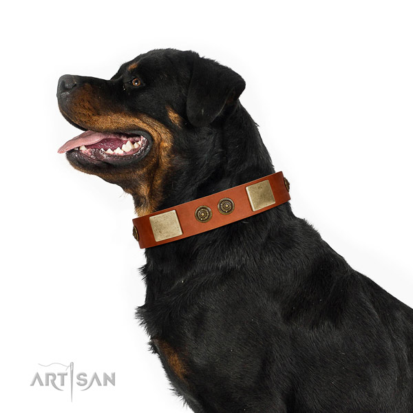 Handcrafted dog collar made for your handsome four-legged friend
