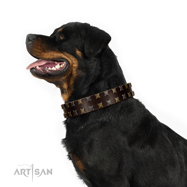Reliable genuine leather dog collar with decorations for your pet