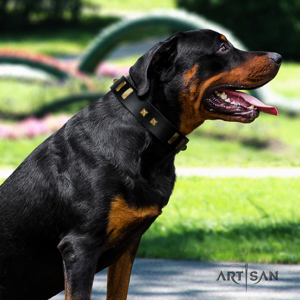 Rottweiler daily walking genuine leather collar for your stylish canine