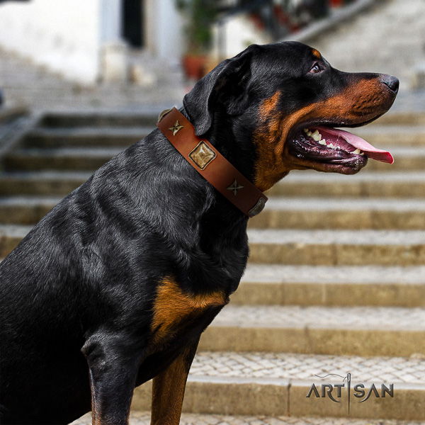 Rottweiler stylish walking full grain genuine leather collar for your stylish dog