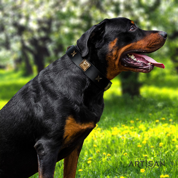 Rottweiler everyday walking full grain genuine leather collar for your handsome canine