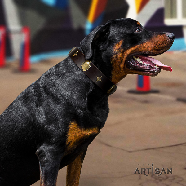 Rottweiler handy use full grain natural leather collar for your beautiful canine