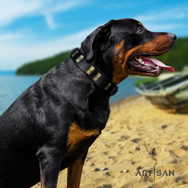 Rottweiler basic training full grain leather collar for your beautiful dog