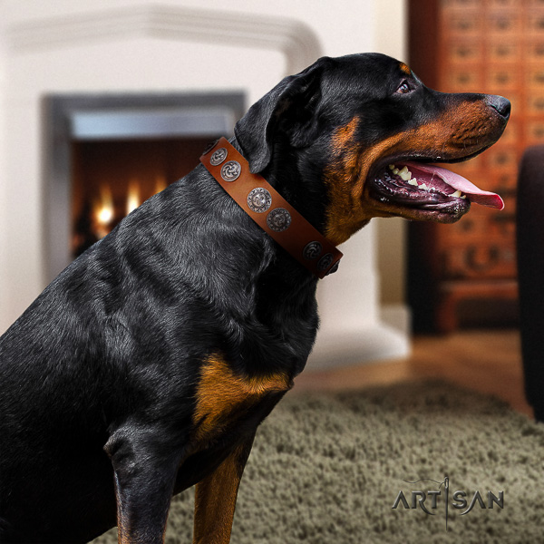 Rottweiler fancy walking full grain natural leather collar for your lovely canine