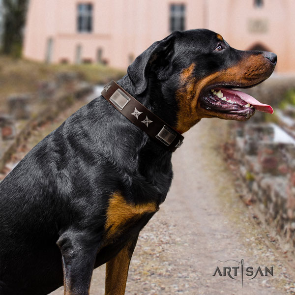 Rottweiler perfect fit collar with stylish design embellishments for your pet