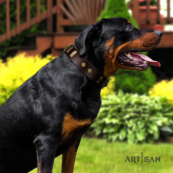 Rottweiler fancy walking natural leather collar for your impressive dog
