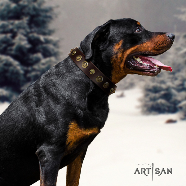 Rottweiler everyday walking full grain genuine leather collar for your beautiful pet