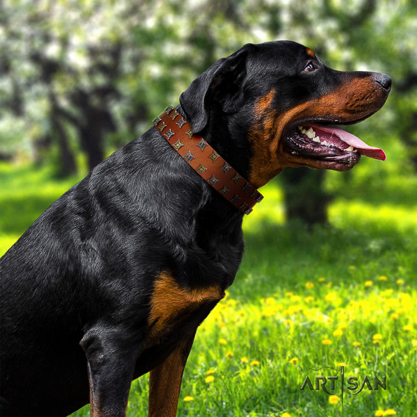 Rottweiler stylish walking full grain natural leather collar for your impressive canine