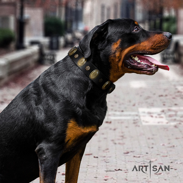 Rottweiler fancy walking genuine leather collar for your handsome canine