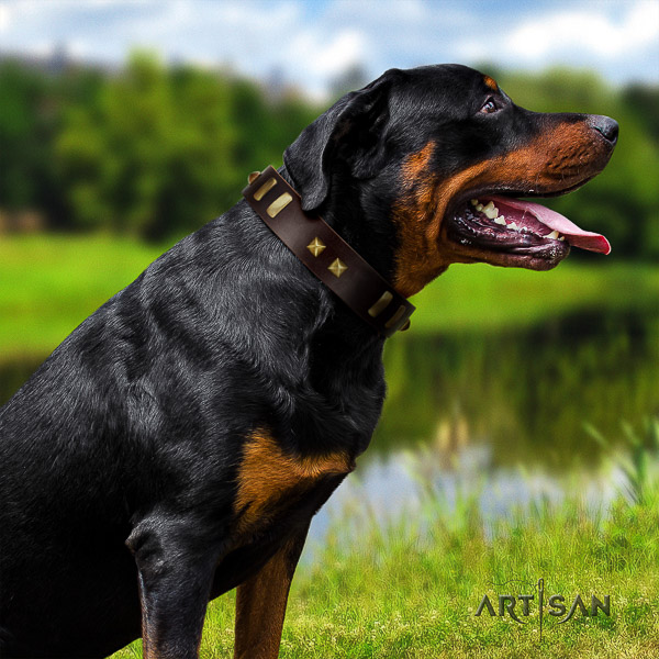 Rottweiler daily use leather collar for your attractive pet