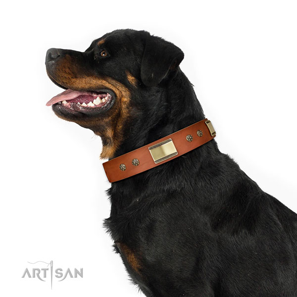 Rottweiler fine quality natural genuine leather dog collar for comfy wearing
