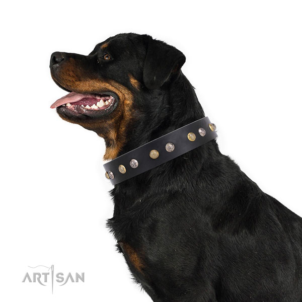 Rottweiler extraordinary natural genuine leather dog collar for handy use
