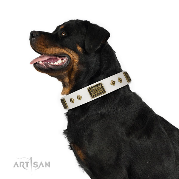 Snow-covered Gold' FDT Artisan White Leather Rottweiler 【Collar