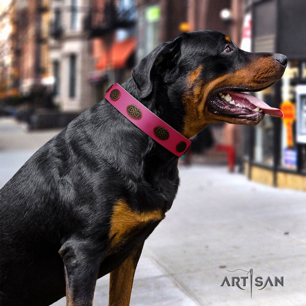 Buy Designer Dog Collars  Get Rottweiler Leather Collar Ovals