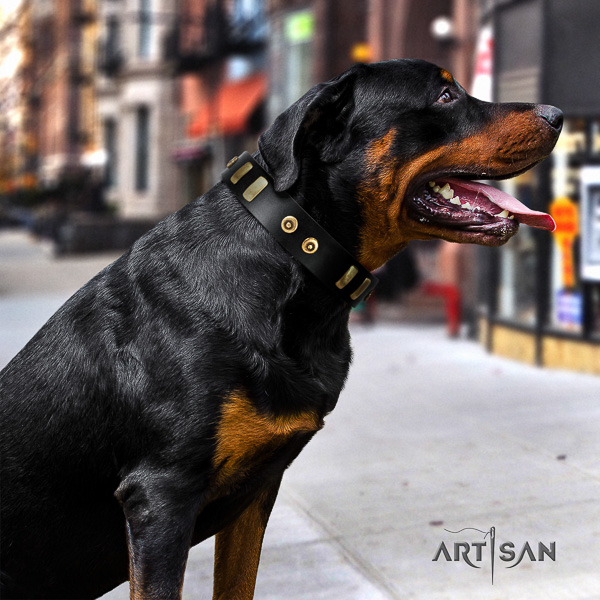 Rottweiler fancy walking natural leather collar for your lovely pet