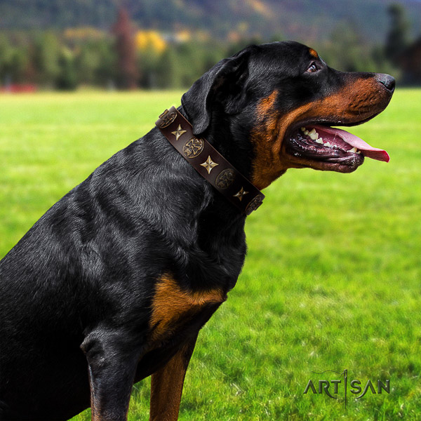 Rottweiler fancy walking full grain genuine leather collar for your stylish doggie