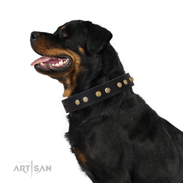 Rottweiler easy adjustable leather dog collar for daily use