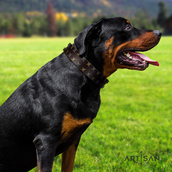 Rottweiler daily walking natural leather collar for your lovely doggie