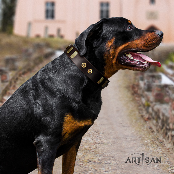 Rottweiler stylish walking natural leather collar for your lovely doggie