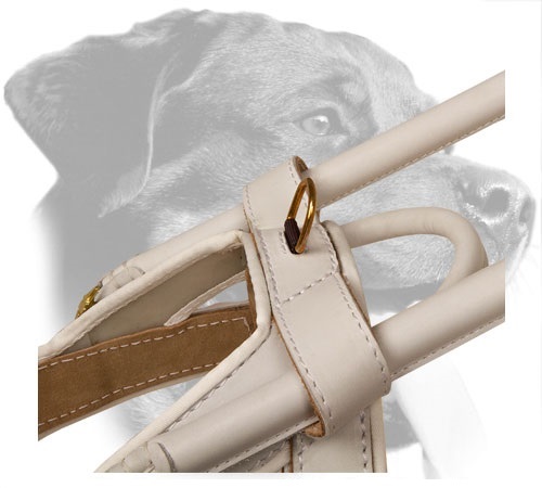 Brass D-Ring on White Leather Guide Dog Harness for Easy Leash Attachment