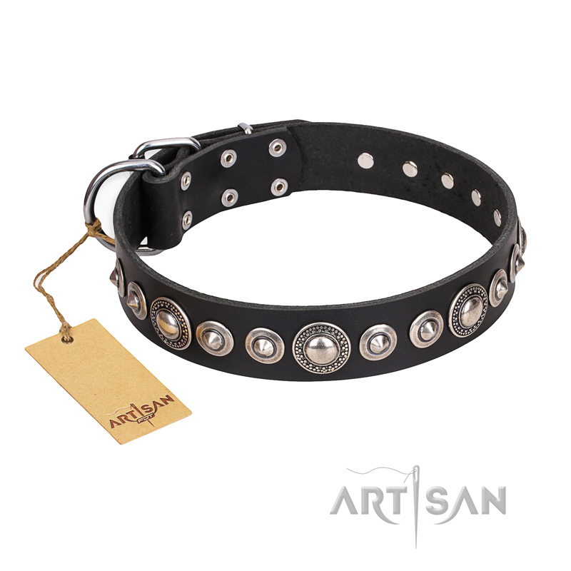 Strict Elegance FDT Artisan Leather Rottweiler Collar with