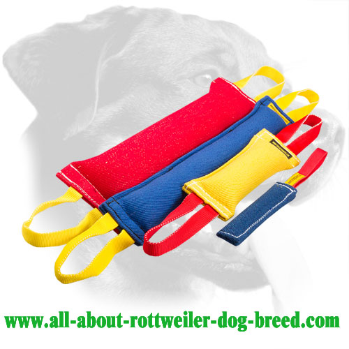 https://www.all-about-rottweiler-dog-breed.com/images/large/Rottweiler-Bite-Set-French-Linen-Four-Items-TE70_LRG.jpg