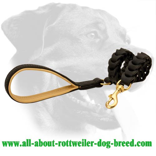 best dog leash for rottweiler