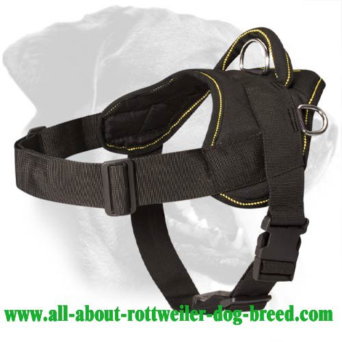 Get Nylon Rottweiler Harness