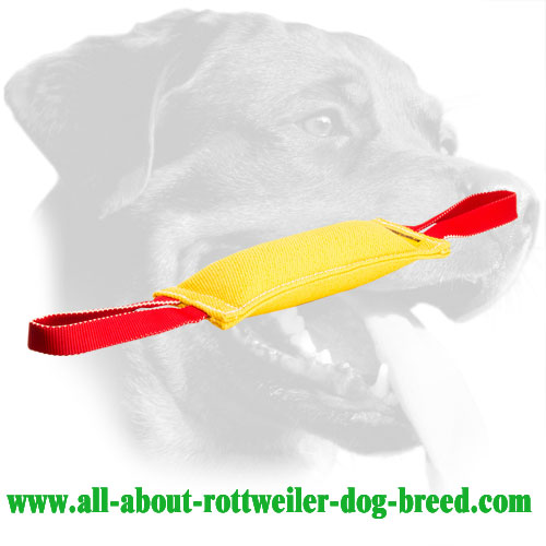 Buy French Linen Dog Bite Tug, Two Handles