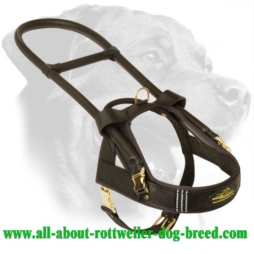 Daily Assistance White Leather Dog Harness for Rottweiler