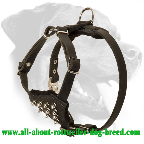 Buy Designer Dog HarnessSpiked Leather Dog Harness