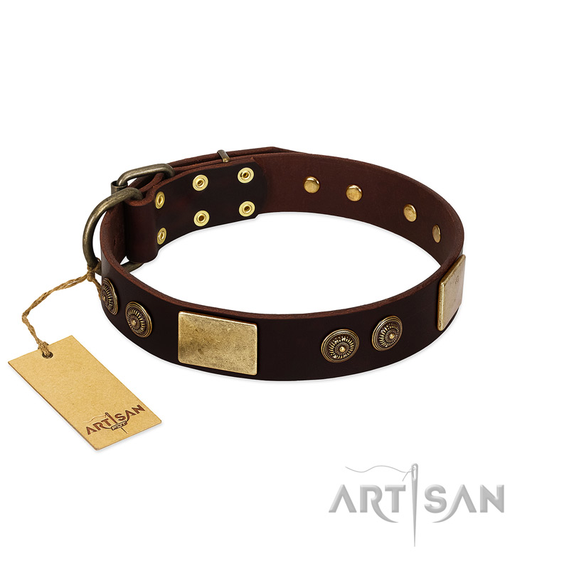 Genuine 2024 leather collar