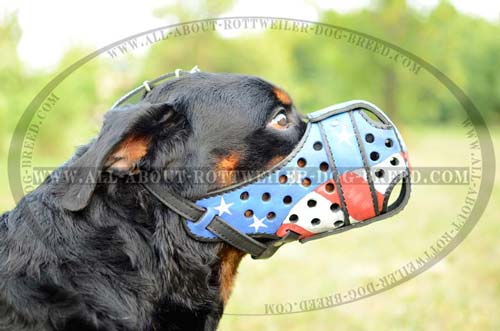 American Flag Hand Painted Leather Dog Muzzle for Rottweiler