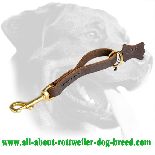 Neat Short Leather Rottweiler Leash for Walking and Training